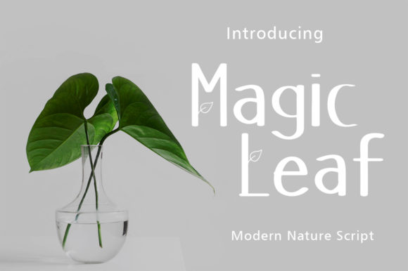 Magic Leaf: A Friendly Display Font for Scroll-Stopping Marketing