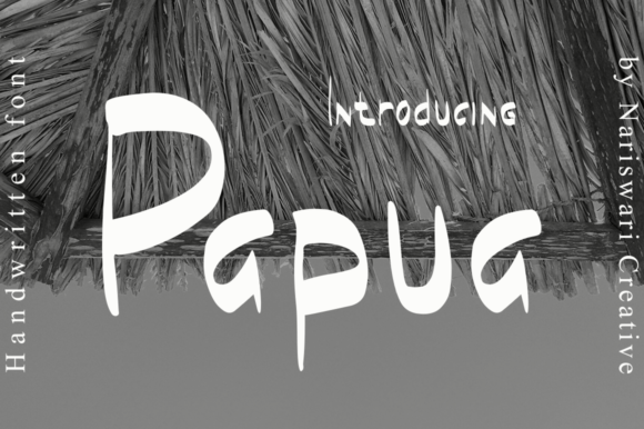 Papua: A Friendly, Polished Display Font for Small Business Branding